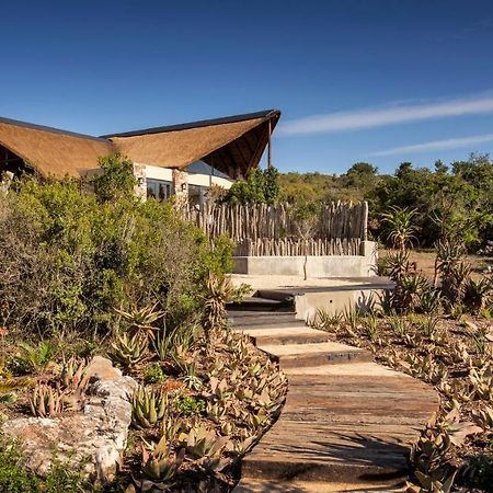 Lalibela Game Reserve - Kichaka Lodge Paterson Exterior photo