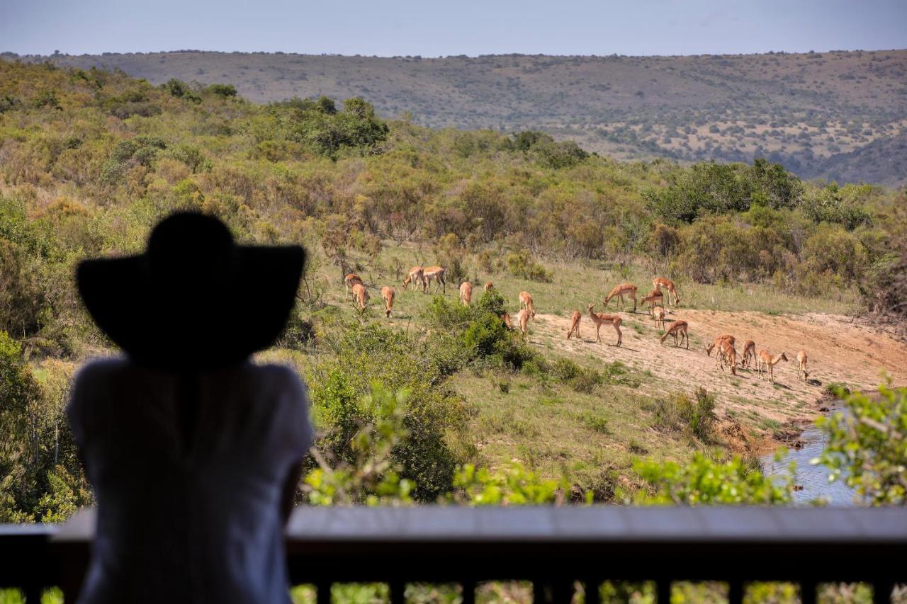 Lalibela Game Reserve - Kichaka Lodge Paterson Exterior photo