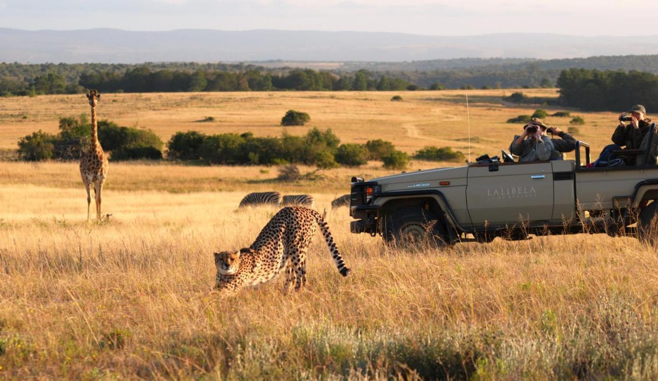 Lalibela Game Reserve - Kichaka Lodge Paterson Exterior photo